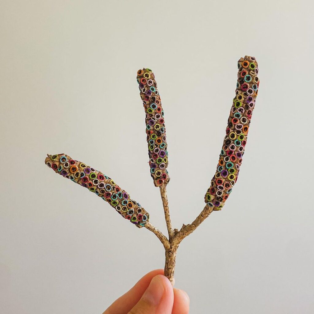 seed pods art - painted seed pods